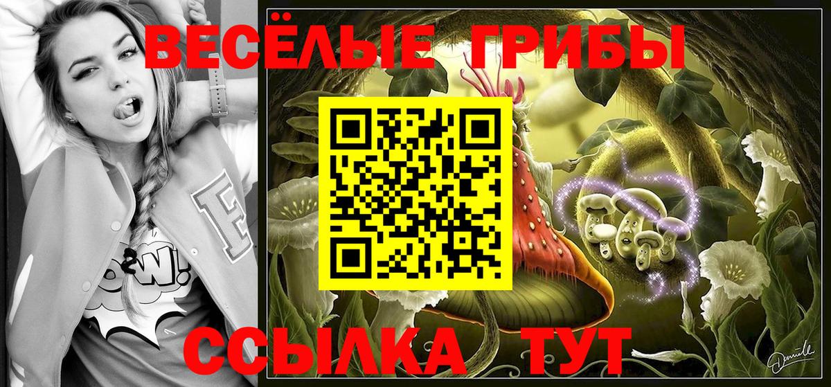 Воркута  Галлюциногенные грибы MAGIC MUSHROOMS  Вход с VPN 