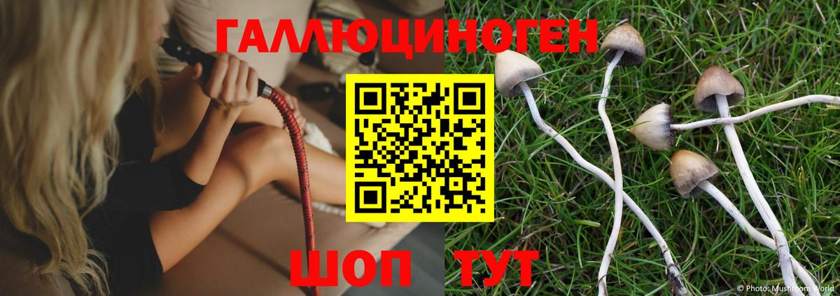 Галлюциногенные грибы MAGIC MUSHROOMS Воркута
